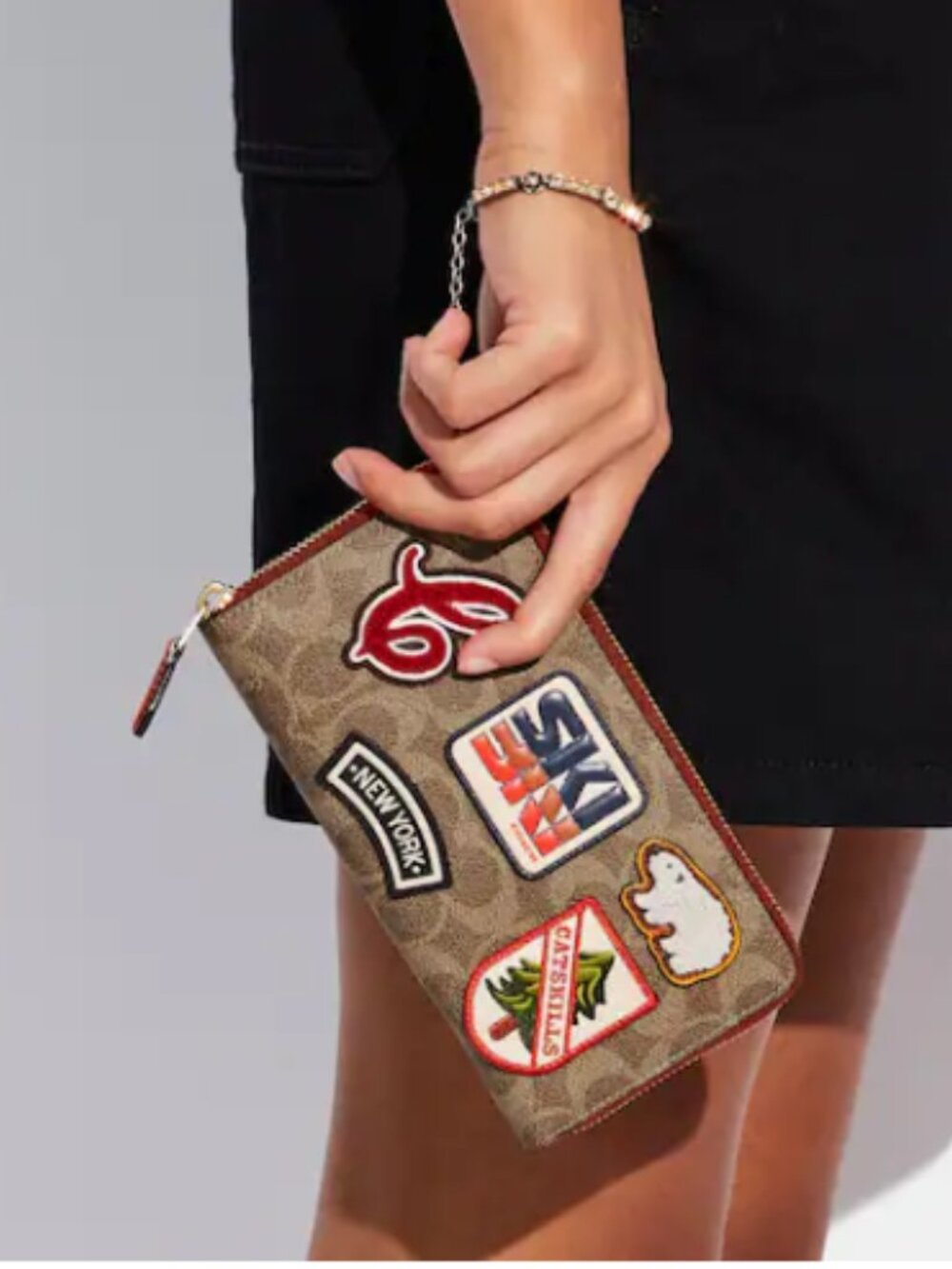 Coach Accordion Zip Wallet in Signature Canvas